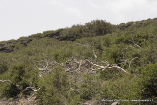 rra delle Concazze-05-08-2014 13-03-45